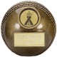 Premier 3D Cricket Ball